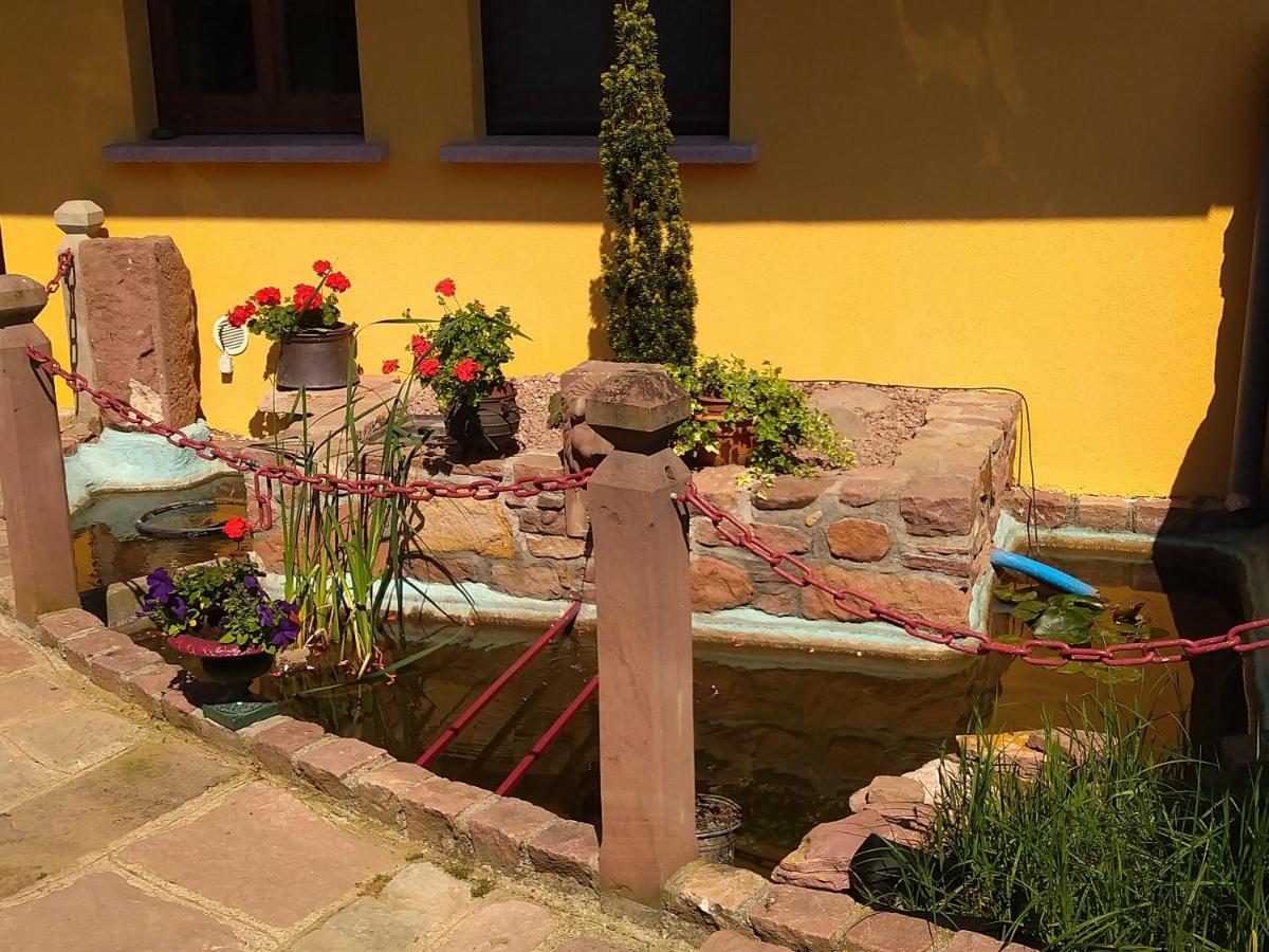 Ferienwohnung Le Pelican Wittenheim Exterior foto