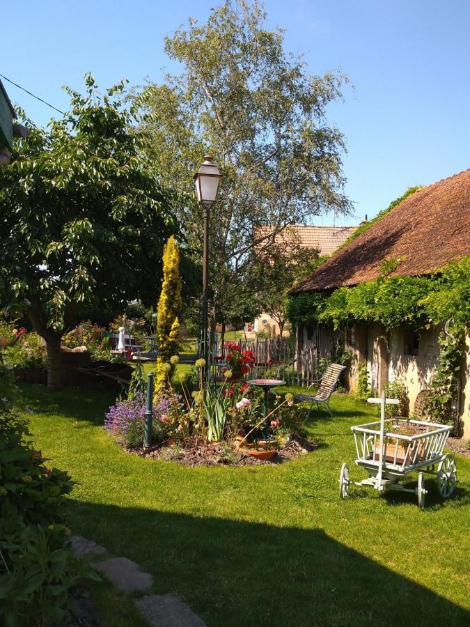 Ferienwohnung Le Pelican Wittenheim Exterior foto